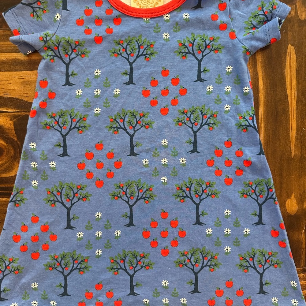 3T-TBBC Back to School Blue Dress with Apple Tree Print